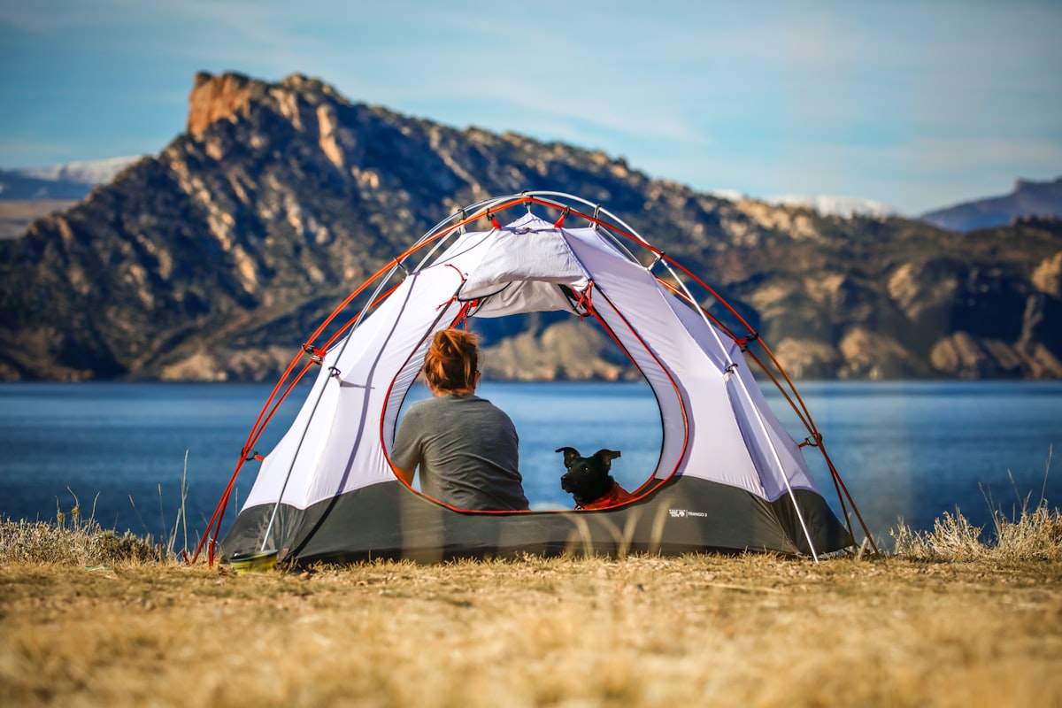 A person and a dog inside a tent beside a lake - solo camping for two with dogs
